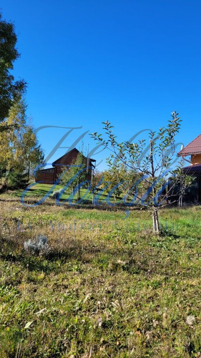 Cabana pe 2 nivele, 1600 mp teren, garaj, zona Rasca