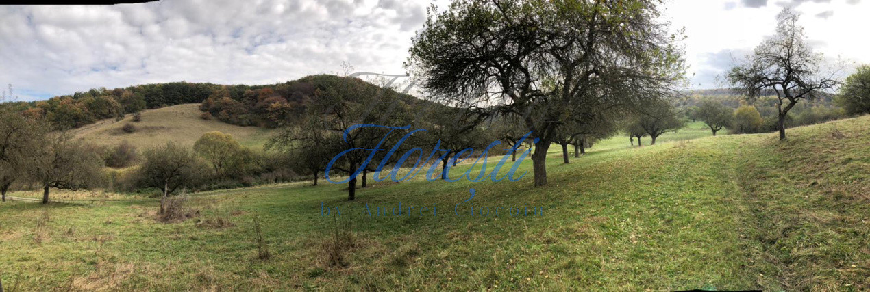 Teren 14500mp | Valea Sanaslaului