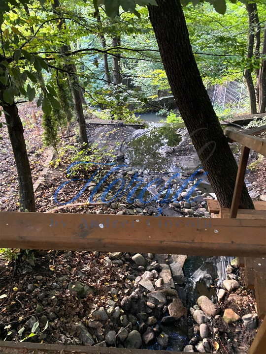 Casă SU 400 mp, teren 3000 mp, Făget 