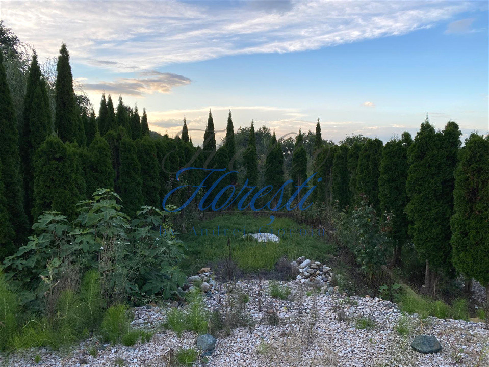 Casă SU 400 mp, teren 3000 mp, Făget 