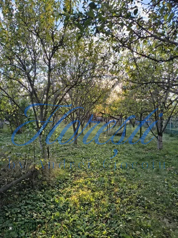 Casa individuala de vanzare cu 2 camere, in zona Dambul Rotund | Cluj