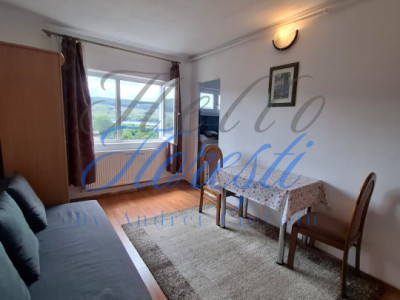 Apartament cu 1 camere, in zona Baciu