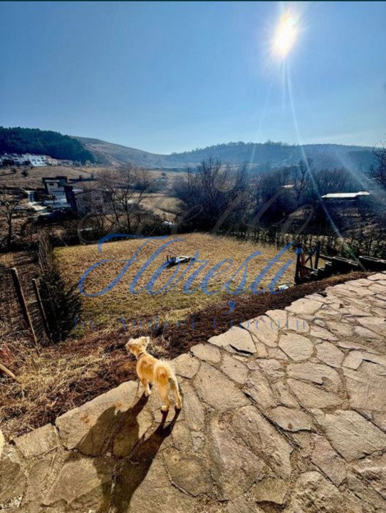 Casa tip duplex, 200 mp, zona Tautiului