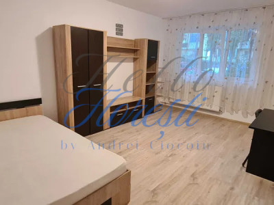 Apartament cu 1 camera in Cluj zona Mehedinti 