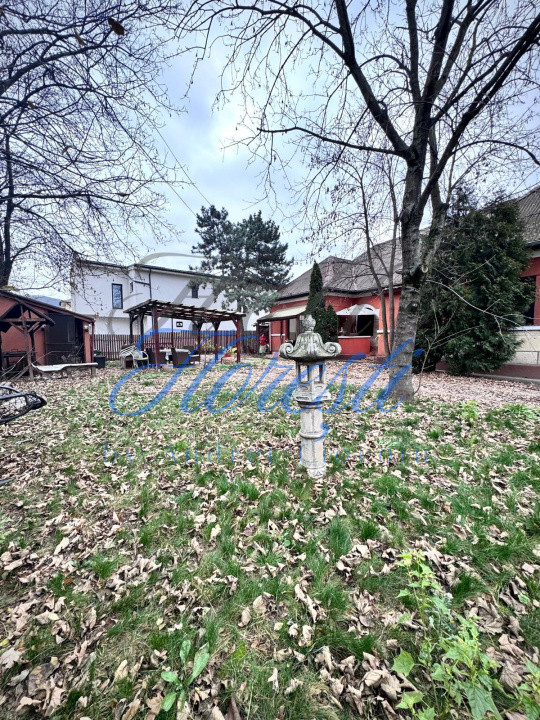 Casă 6 camere pe un singur nivel, curte & terasă, zona Avram Iancu