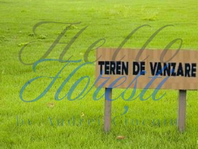 Teren intravilan, 800 mp, Capusu Mare