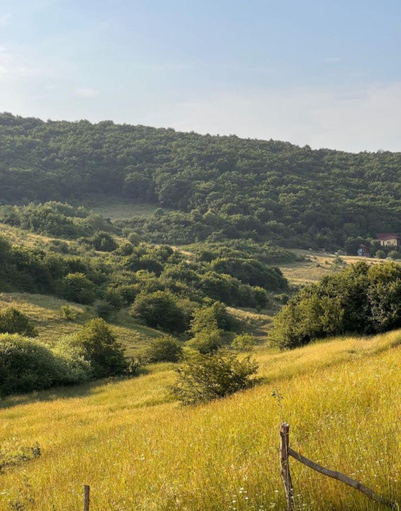 Teren 4000mp, Valea Sanaslaului