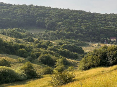 Teren 4000mp, Valea Sanaslaului